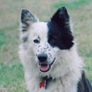 Veronica was adopted in 2004